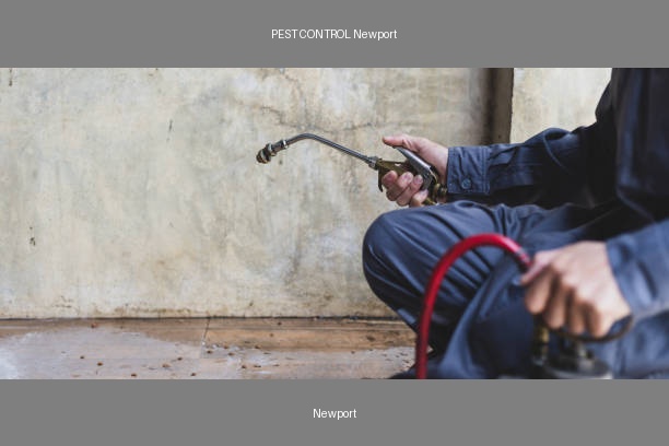PEST CONTROL Newport